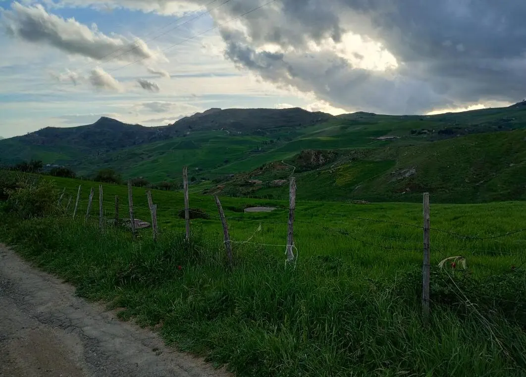 Sicilian landscape