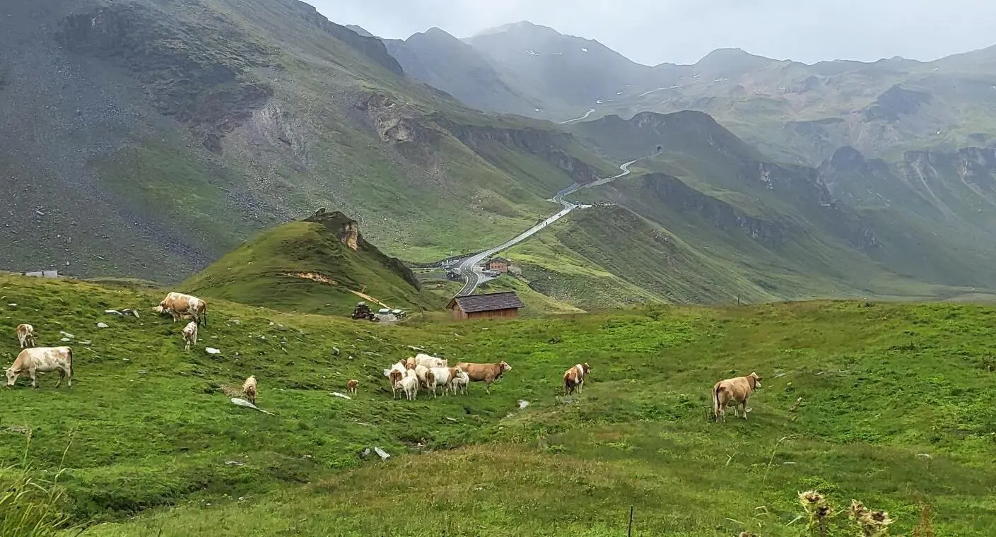 experience the Grossglockner High Alpine Road, the highest mountain pass in Austria
