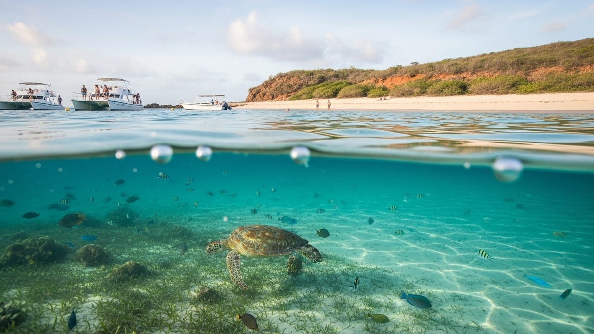 crystal-clear turquoise waters off Tintamarre Island
