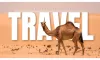 Tours Over Independent Travel