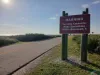 Central Florida's National Seashore