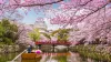 Explore Japan