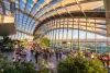 London's Free Sky Garden