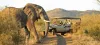South Africa for Travelers