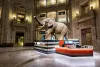 the Smithsonian Museums