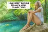 Forest Bathing  Travel Trend