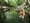 Showcasing Naturist Resorts in Florida and California