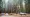What I Wish I Knew Before Camping in Yosemite