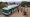 South Rim Shuttle buses