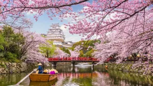 Explore Japan Year-Round on a Budget