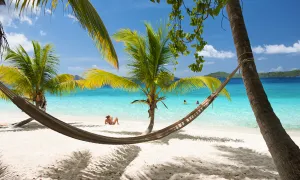 Signs You’ve Found the Perfect Beach Escape for Your Next Trip