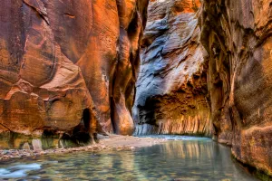 Is Zion National Park Worth the Hype? My Honest Review