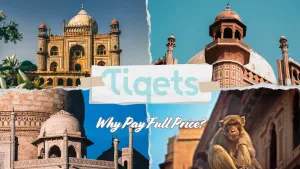 Best Ways to Save Money on Tours and Activities With Tiqets