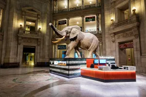 Why I Think the Smithsonian Museums Are America’s Greatest Gift to Travelers